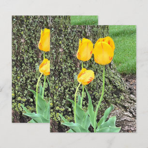 Tre gula tulpaner / Scrapbookpapper