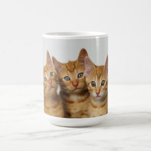 Tre gulliga ljust rödbrun kattungar sid - by - kaffemugg