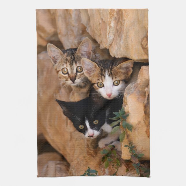 Tre gulliga nyfikna kattungar kökshandduk (Vertikal)