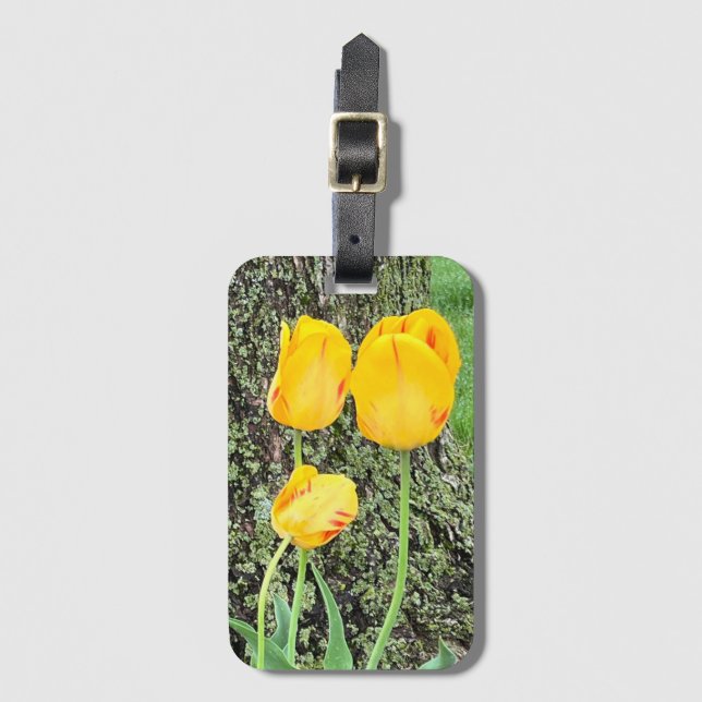 Tre Gulter/tuppar Bagagebricka (Framsida vertikal)