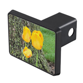 Tre Gulter/tuppar Dragkroksskydd