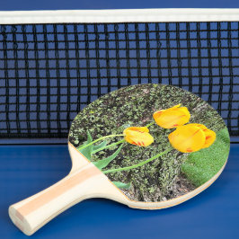 Tre Gulter/tuppar Pingisracket