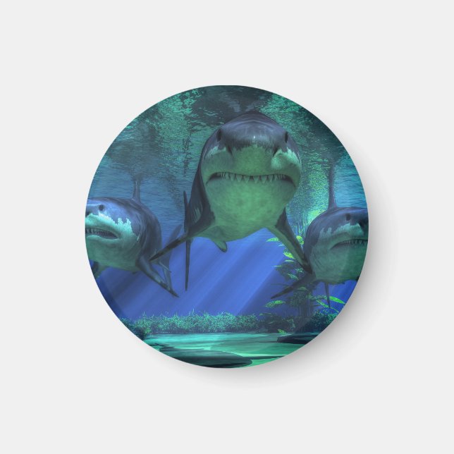 Tre hajar magnet (Framsidan)