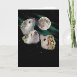 Tre hälsningskort för Hedgehog Måne Kort