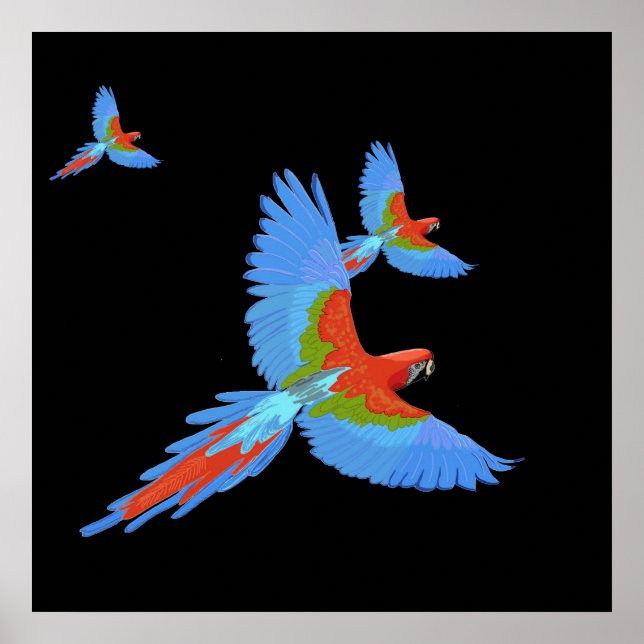 Tre Hand plockade Macaws Poster (Framsidan)