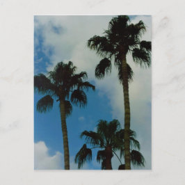 Tre Handflatan Vykort