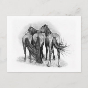 Tre hästar: Bakre ändar: Påverkan: Pencil Art Vykort