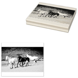 Tre hästar Frimärke Stämpel