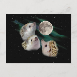 Tre Hedgehog Måne vykort