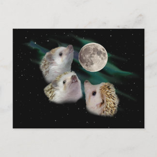 Tre Hedgehog Måne vykort