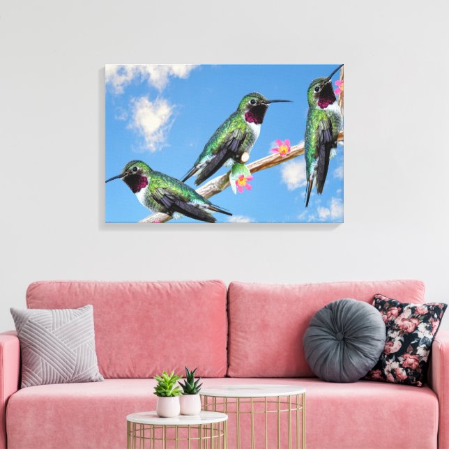 Tre Hummingbird på gren av en blomma Canvastryck (Insitu (Vardagsrum))