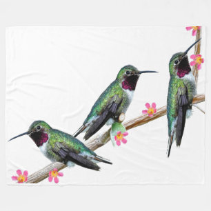 Tre Hummingbird på gren av en blomma Fleecefilt