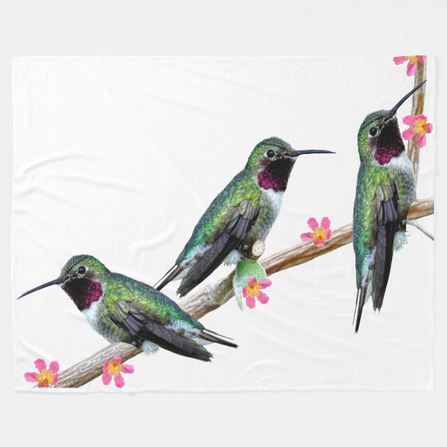 Tre Hummingbird på gren av en blomma Fleecefilt (Framsidan (Horisontell))