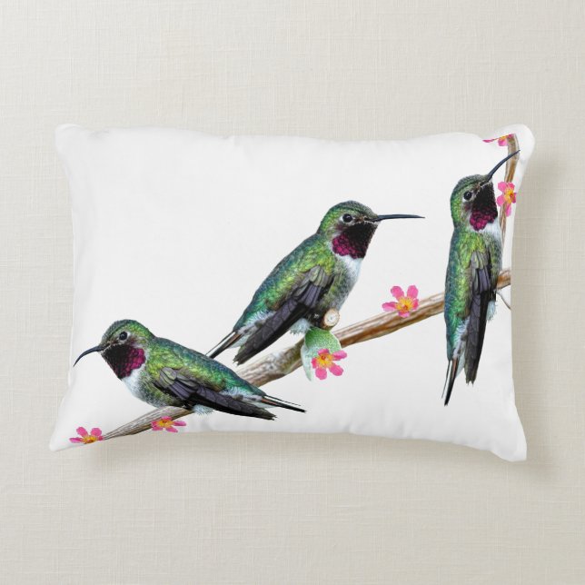 Tre Hummingbird på gren av en blomma Prydnadskudde (Baksidan)