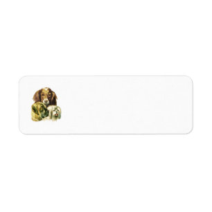 Tre Hundar-Returetiketter Returadress Etikett