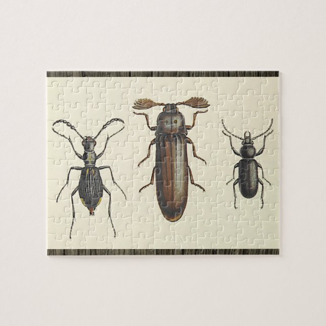 Tre Insekter Brevid Rader Pussel (Horisontell)