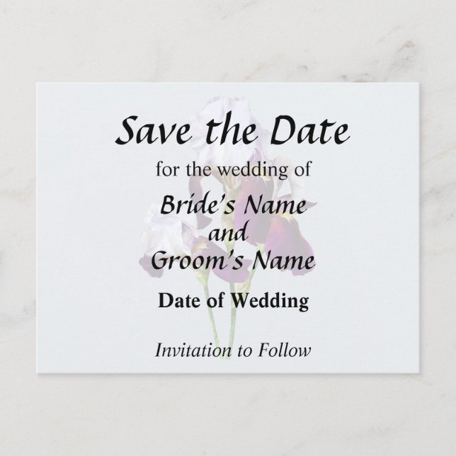 Tre Irisar i Nyanser av Magenta Meddelande Vykort (Framsida)