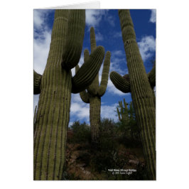 Tre jätte- Saguarokaktus med blå himmel och moln Hälsningskort
