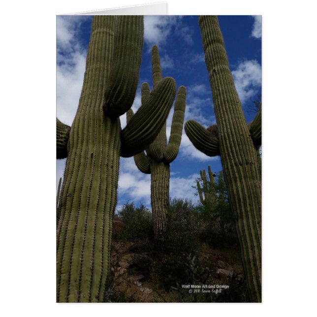 Tre jätte- Saguarokaktus med blå himmel och moln Hälsningskort (Framsidan)