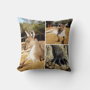 Tre Kangaroo Bilder Collage, Cushion Kudde