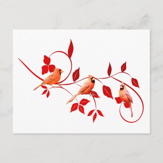 Tre kardinaler vykort (Framsida)