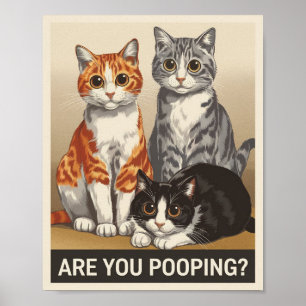 tre Katter & en Fråga Bajsar du? Rolig Katt Poster