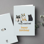 Tre katter, Hooman Funny Birthday Kort<br><div class="desc">Skicka önskemål till någon mycket speciell på födelsedagen med det här roliga kattkortet. Tre katter med uttrycket "hej, hooman" och "grattis på födelsedagen" på ljusblå färg kommer att ge leende till allas ansikte. Mini-storleka med tre katter illustreras också på baksidan. Det här kortets uttryck kan vara personlig med ditt eget...</div>