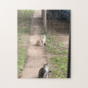 Tre katter Jigszle Puzzle Pussel