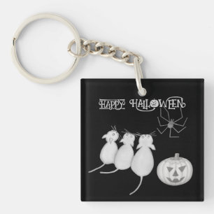 Tre katter, pumpa och spindel Halloween