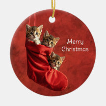 Tre kattungar i en julstrumpa