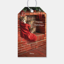 Tre kattungar i en julstrumpa presentkort