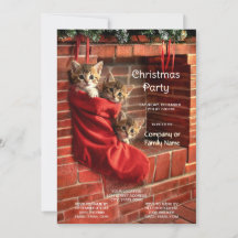 Tre kattungar i en röd strumpa julfest