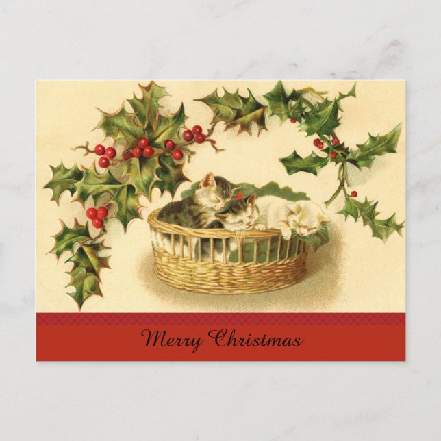 Tre kattungar i ett vykort för Basket (Framsida)