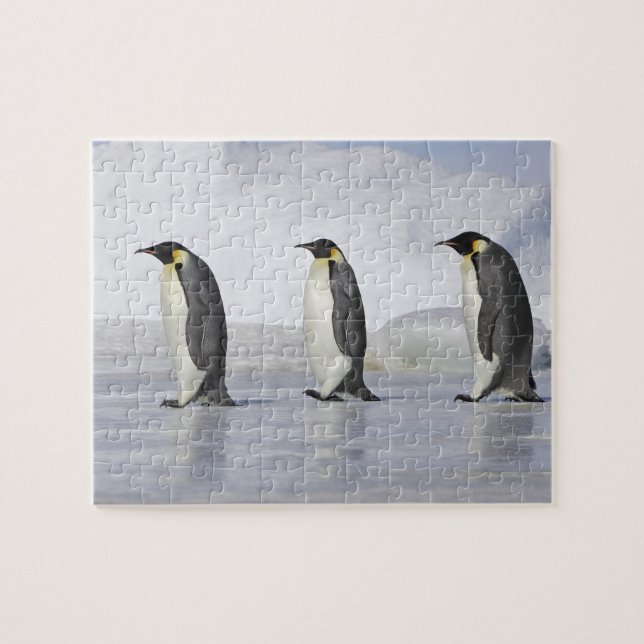 Tre kejsar Penguins, Snö Backe Pussel (Horisontell)