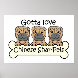 Tre kines Shar-Peis Poster