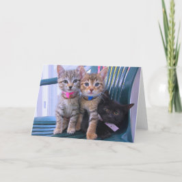 Tre Kittens Meddelande