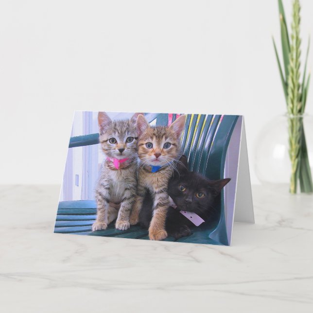 Tre Kittens Meddelande (Framsida)