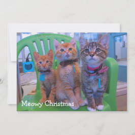 Tre kittens Meowy Tack Kort