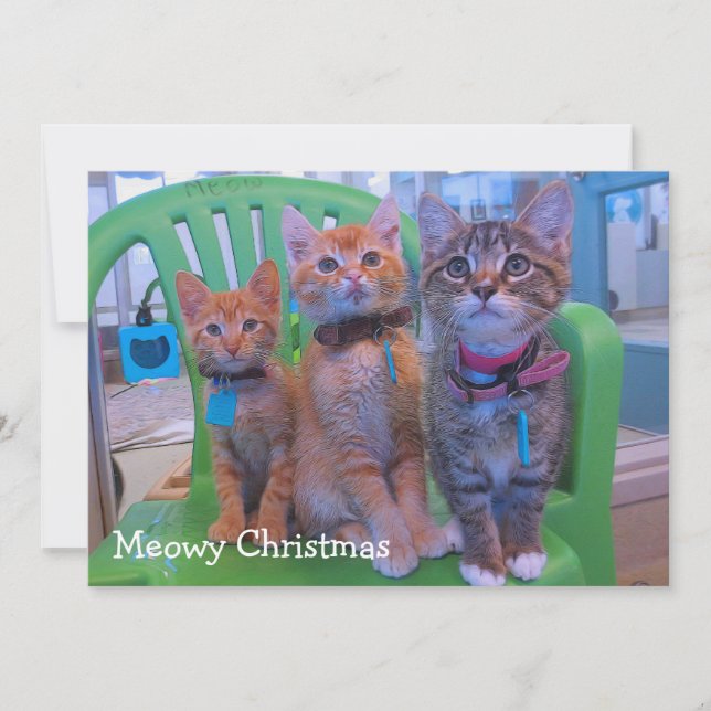 Tre kittens Meowy Tack Kort (Framsida)