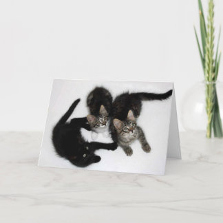 Tre klumpkittens tomma gratulationskort kort
