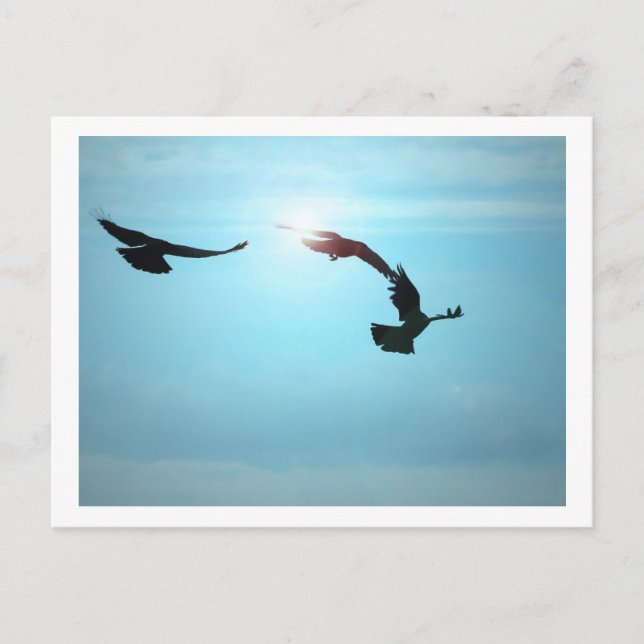 Tre Kråkor vykort (Framsida)