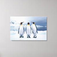 Tre Kung Penguins