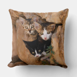 Tre kute Nyfikna katt kittens Ansikte Funny Photo Kudde