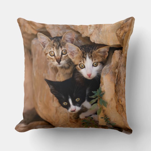 Tre kute Nyfikna katt kittens Ansikte Funny Photo  Kudde (Framsida)
