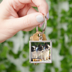 Tre kute Papillon Puppies på en Garden Bench Fyrkantig Silverfärgad Nyckelring