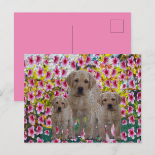 Tre labrador Puppies Oil Painting Helg Vykort