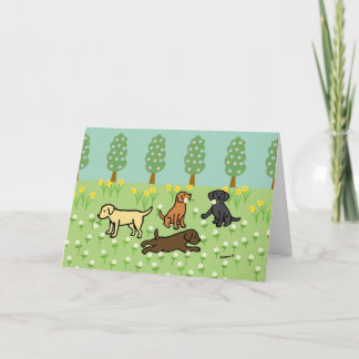 Tre labradorer med vårblommor kort