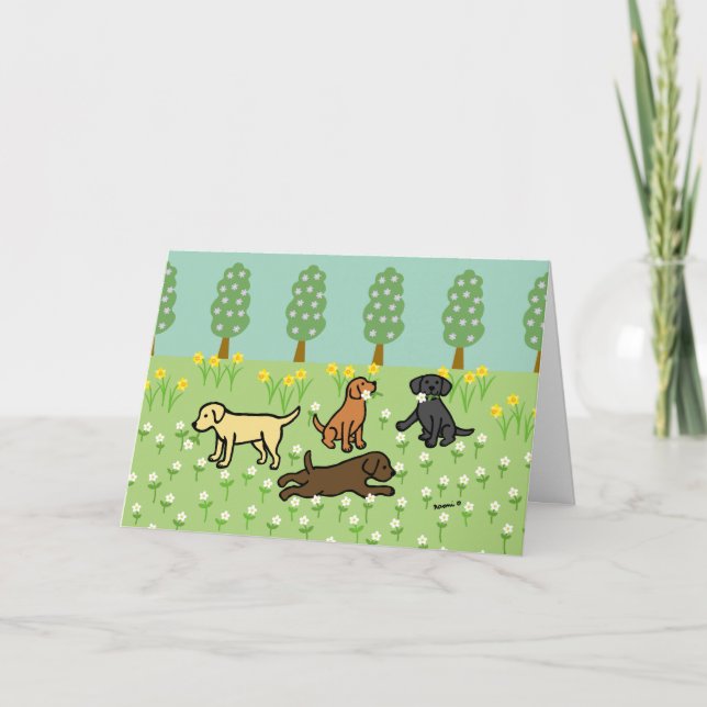 Tre labradorer med vårblommor kort (Framsida)