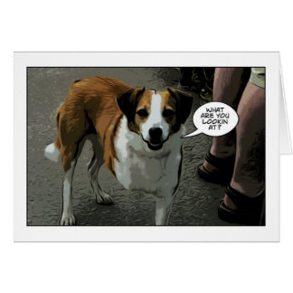 tre lagd benen på ryggen hund hälsningskort