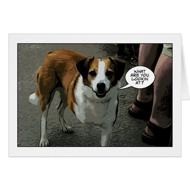 tre lagd benen på ryggen hund hälsningskort (Framsidan Horizontal)